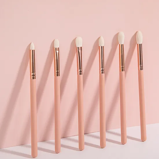 6PCS 화장품 도구 아이섀도우 베이스 파우더 블러셔 아이라이너 아이섀도우 블렌딩 브러쉬 메이크업 브러쉬 공장 ODM OEM 메이크업 브러쉬 세트